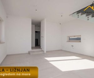 IMG-20260320-WA0013_1